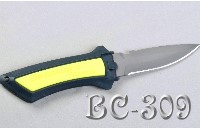 BC-309