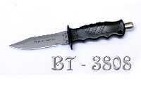 BT - 3808